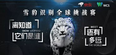 奥门三肖三马精准100|发现未知世界的奇妙旅程_进修版.1.437