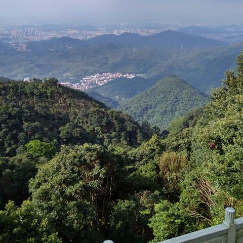 天空彩CC944CC免费资料大全|综合研究解释落实_初学款.5.487