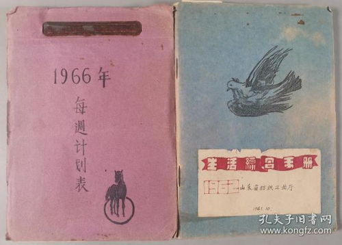 黄大仙三精准资料大全|探索生活中的细腻瞬间_Notebook.3.795