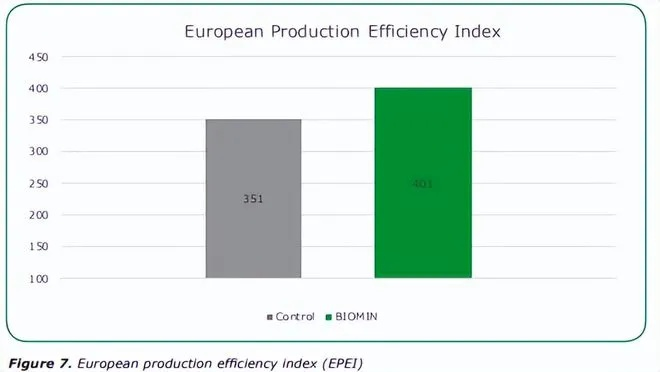 新澳免费资料大全100%|深度分析解释落实_DP.7.351