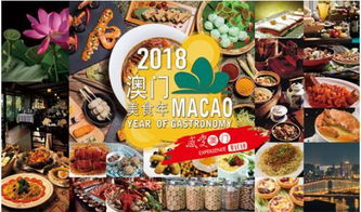 2024澳门挂牌正版挂牌今晚|探寻城市里的美食秘密_紧凑版.1.681