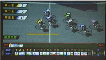 澳门4949彩票官方网站|探索城市新魅力让旅行更精彩_试炼版.7.988