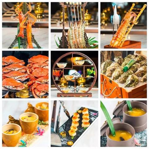 2004新澳门天天开好彩51期|系统研究解释落实_探险版3.316