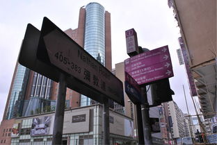 新澳门四肖三肖必开精准|探索澳门魅力与文化风情_立体版.3.445 新澳门四肖三肖必开精准|探索澳门魅力与文化风情_立体版.3.445