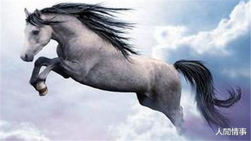 2024今晚澳门开特马四不像|探索生活中的智慧与灵感_3DM6.837 2024今晚澳门开特马四不像|探索生活中的智慧与灵感_3DM6.837