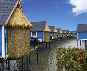 今天晚9点30开特马开奖结果|探秘美丽的海岛风情_Max.7.925