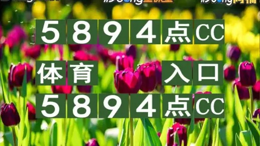 2024澳门特马今晚开奖56期的|未来科技新突破探讨_正式集.5.541 2024澳门特马今晚开奖56期的|未来科技新突破探讨_正式集.5.541