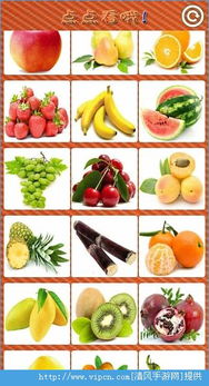 澳门水果奶奶免费资料大全2020|奇妙探索生活中的隐秘乐趣_管控版.1.253