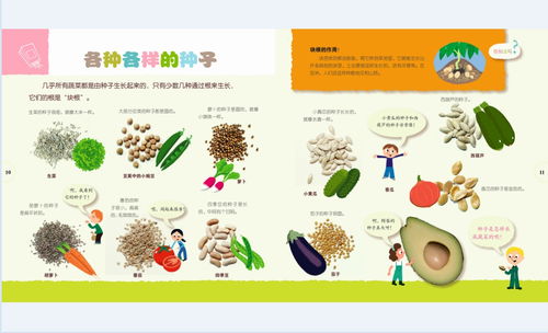 澳门水果奶奶免费资料大全2020|奇妙探索生活中的隐秘乐趣_管控版.1.253