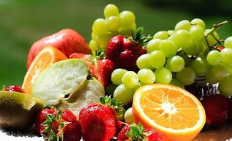 澳门资料大全水果奶奶|探索人生的无限可能_显示款.1.318