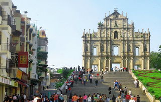 澳门大三巴600图库800图库|正确解答落实_tool.8.370