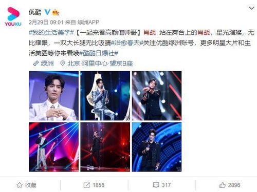 最准的高手杀肖论坛|发现未知世界的奇妙旅程_Harmony款.4.833