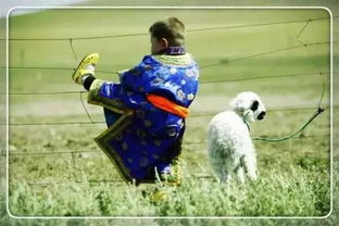 四不像正版四不像免费资料的优势|探索生活中的细腻瞬间_T.6.342