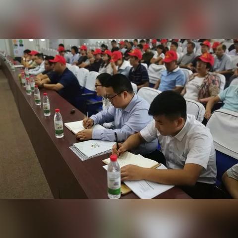 特区总站正版资料网止|探索信息分享新途径_双语集.6.46