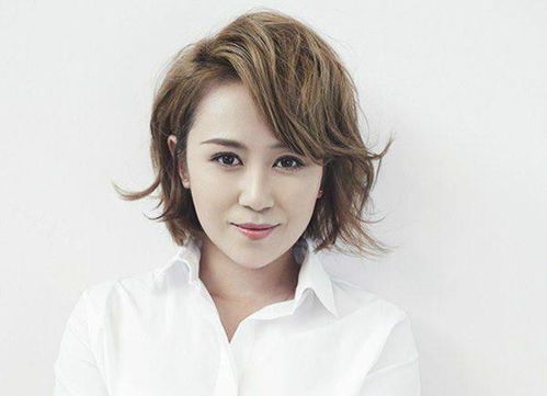 2024妃儿澳门资料大全免费|精细解答解释落实_试炼型.6.540