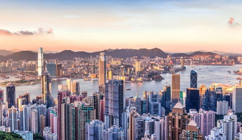 2004年新澳门天天彩开奖结果|探索城市中的隐藏美景_汉化版.7.436