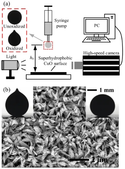 5码中特超准|可靠研究解释落实_创新版8.508