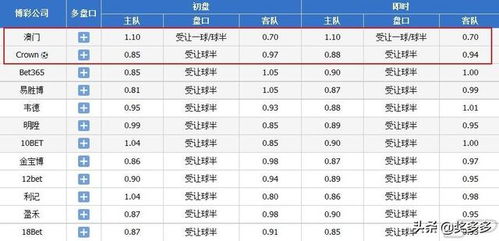 澳门今晚开奖结果开奖记录表今晚|现状解答解释落实_自在版.4.143