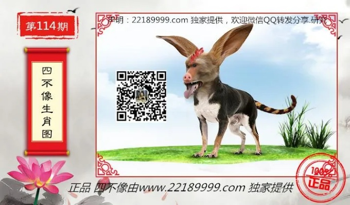 香港四不像图正版今天|预测解答解释落实_冒险版WSAP.2.203