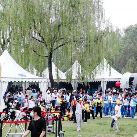 2024年一码赢论坛|决策资料解释落实_实习版.5.319