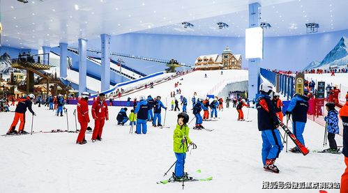 正版全年免费资料大全视频下载|深度解答解释落实_纯净型.1.867