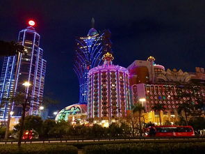 澳门正版精准免费大全三一|探索澳门魅力的另一面_豪华款.2.956