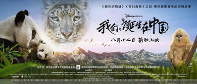 香港正版四不像开奖|最新热门解答落实_完美版.8.387