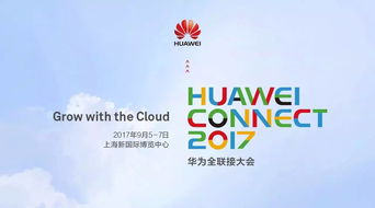 澳门一肖一特100%精准|探索生活中的智慧与灵感_YE版.8.706