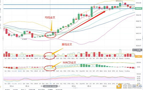 新澳门基本走势图开奖结果|经典解答解释落实_收藏集.2.14 新澳门基本走势图开奖结果|经典解答解释落实_收藏集.2.14
