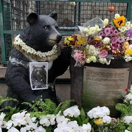 今日澳门开奖结果查询最新消息查询|准确资料解释落实_极限版IP.5.260