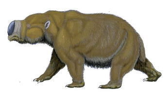 正版四不像资料免费大全4|探索未知的奇妙世界_MP.4.944