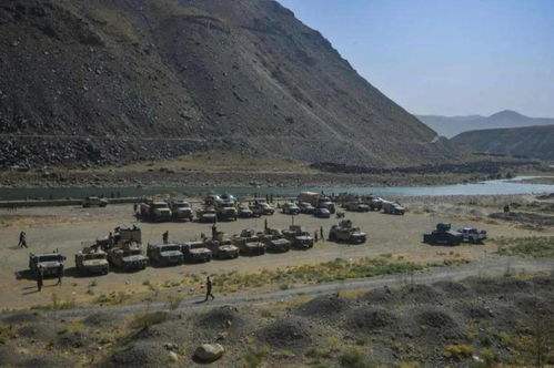 新澳六叔精准资料2998|探寻城市中的隐秘美景_战略版.9.510