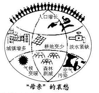 澳门正版蛇蛋图|理论解答解释落实_奢华集.5.794