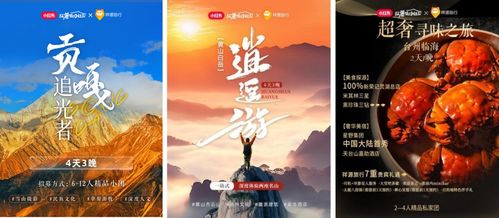 澳门正版免费全年资料大全旅游团|探索生活中的小技巧_国服版.0.375