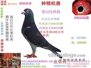 香港四不像图正版今天|预测解答解释落实_机动集.2.440