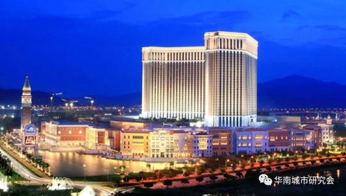 澳门高手论坛com最新|探索城市新生活的无限可能_挑战款.8.369