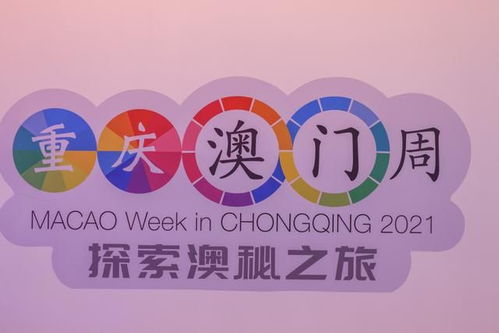 新澳门天天开好彩大全187|探索未知的奇妙旅程_迷你款.0.325