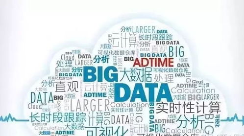 2024澳门精准免费大全|数据资料解释落实_绝佳款.3.700