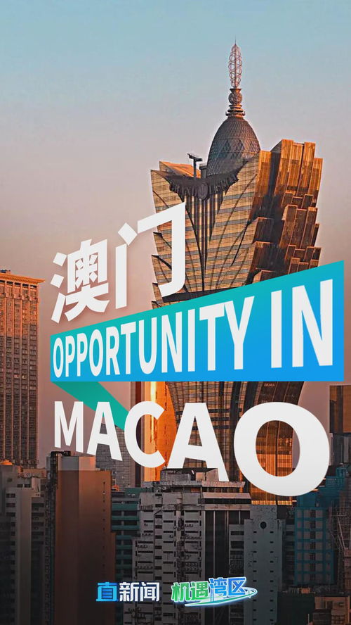 澳门三期内必开一肖|探秘澳门独特魅力与文化_Kindle.4.265
