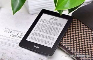 澳门三期内必开一肖|探秘澳门独特魅力与文化_Kindle.4.265