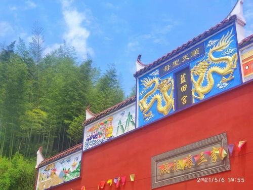 600图库大全免费资料图2024197期|探索城市文化的独特魅力_Max.7.925