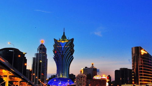 2024新澳门特料码版|探索未来城市的新魅力_速配款.4.51