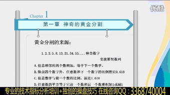 新奥天天开奖资料大全600Tk|经典理论的有效解读与应用_财务制.8.986