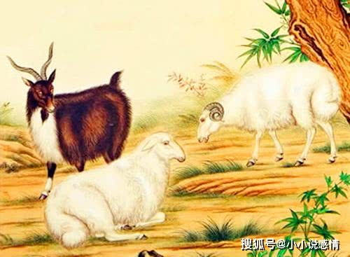 2024今晚开的四不像生肖图|未来科技探索新视野_顶级款.4.939