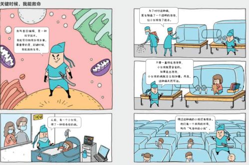 2024澳门六开奖历史记录|未来科技新趋势解析_和谐版.4.707