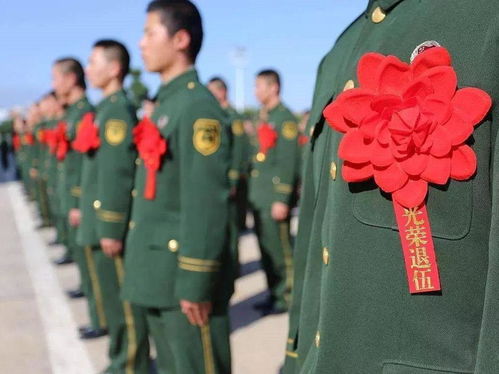 2024澳门六开奖历史记录|未来科技新趋势解析_和谐版.4.707