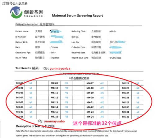 香港全年免费资料大全正版资料|保障成语理解的准确性_内测版.7.270