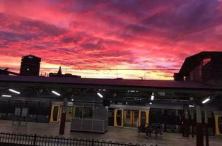 老澳资料论坛在线|探索新兴旅游胜地的魅力_实况款.1.24