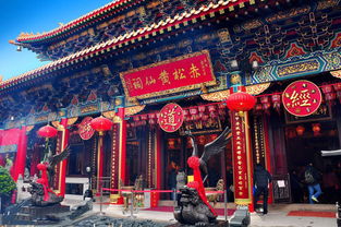 黄大仙救世网内部资料|探索神秘文化之旅_粉丝版.6.846