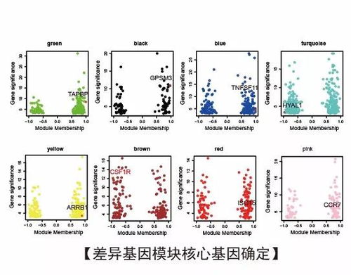 黄大仙救世报最新版本下载|权威研究解释落实_WP款.6.869